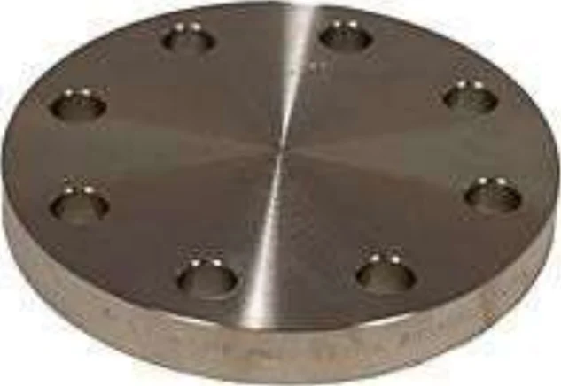 BLIND FLANGE JIS image