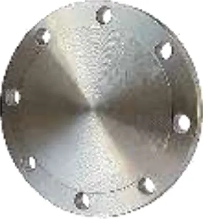BLIND FLANGE image