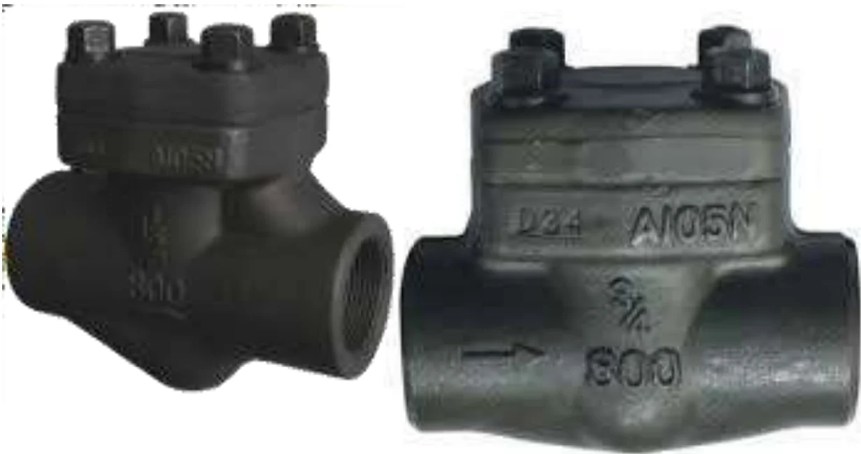 FORGED STEEL CHECK VALVE image