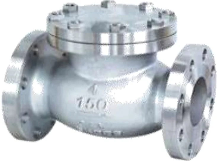 SWING CHECK VALVE ANSI image