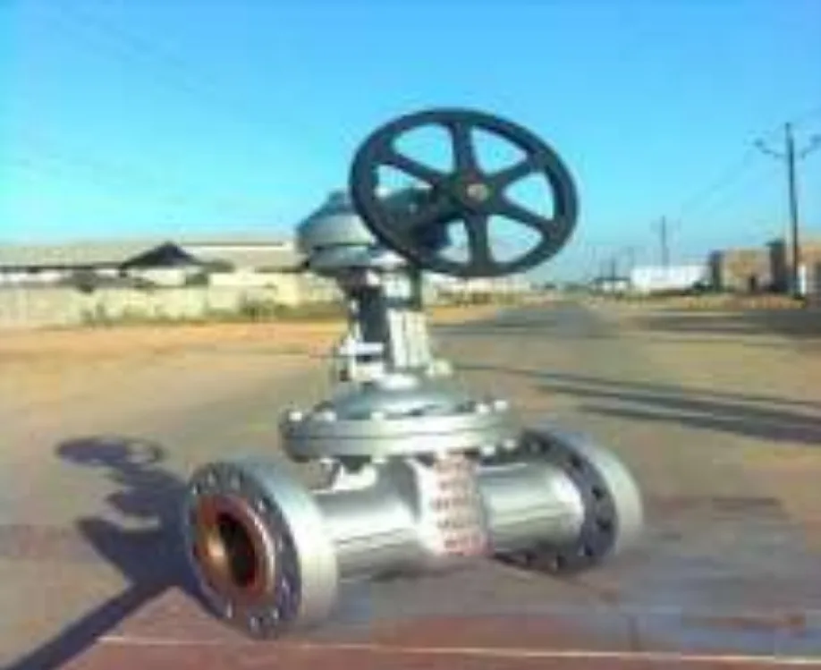 Gate valve gear operated